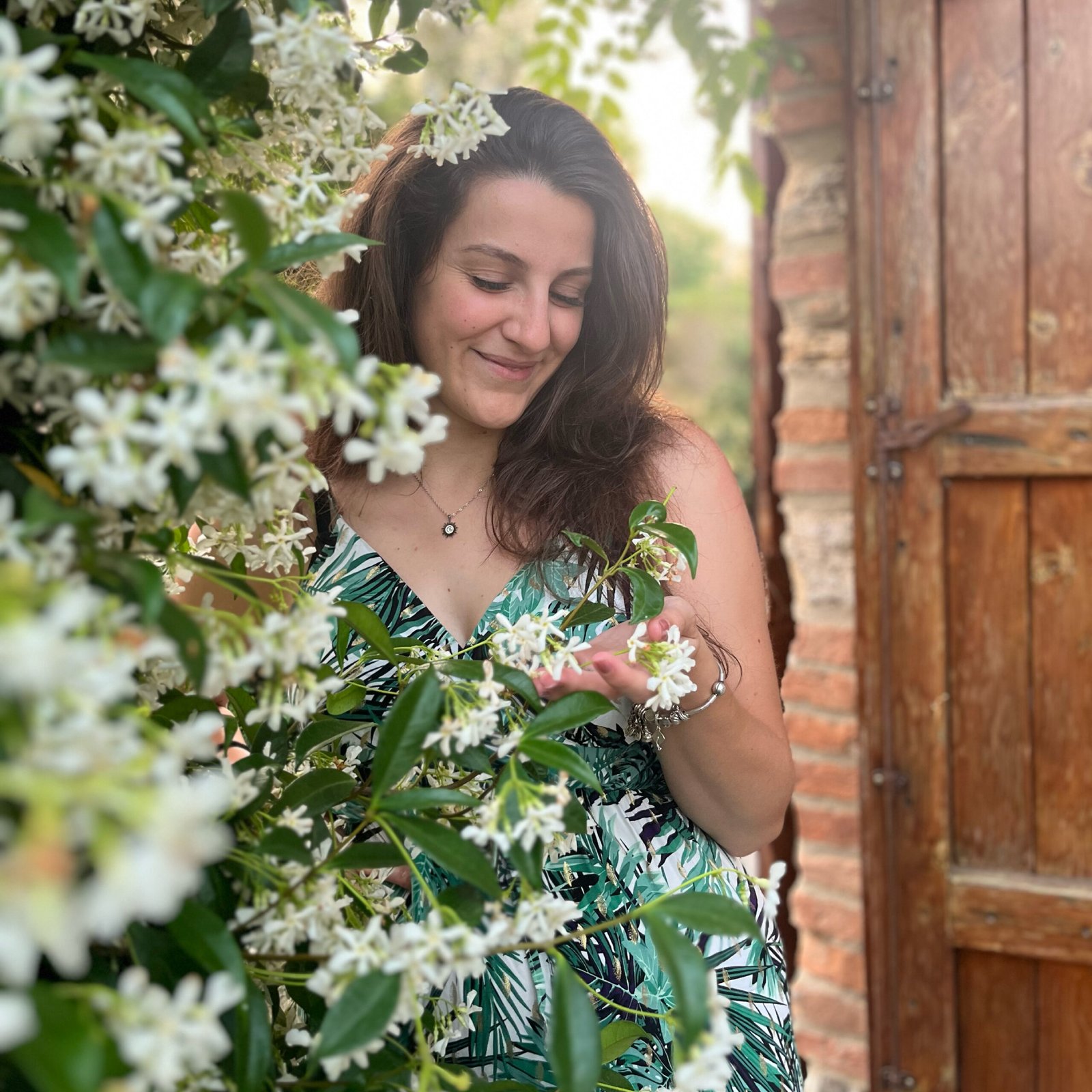 Frabs Front Frabs Front